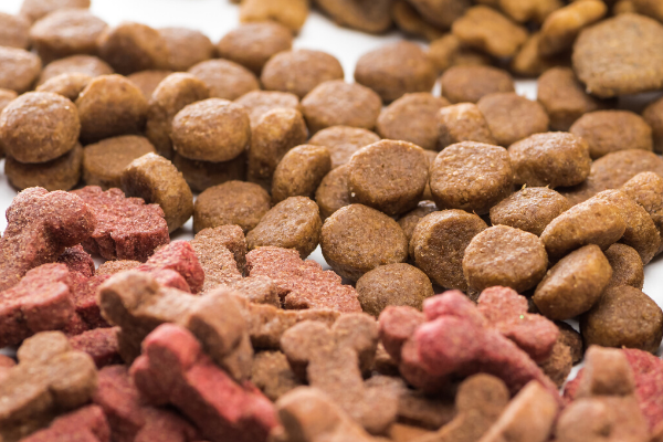 Pet Food Extrusion Case Study